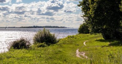 Wasseraktivitäten Hamburg » Abenteuer und Spaß auf der Elbe und Alster